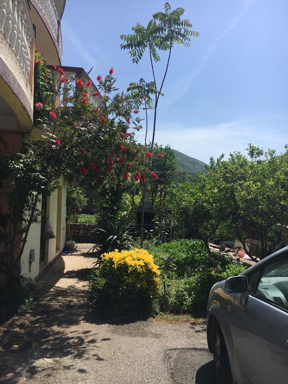 Sunny Villa Apartments Будва Экстерьер фото